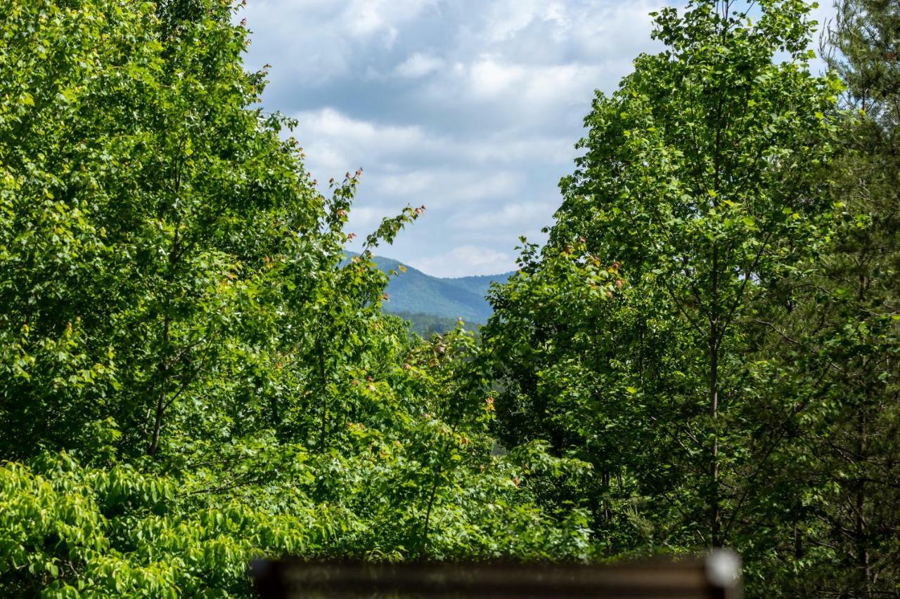 Day Dreamer Mineral Bluff Exterior foto